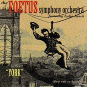 Black Adonis by The Foetus Symphony Orchestra