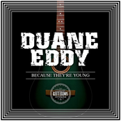 Rebel Walk by Duane Eddy