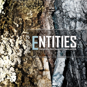 Entities 2.0