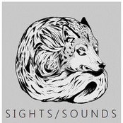 Sights Sounds