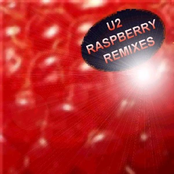 Raspberry: Remixes for Next Generation