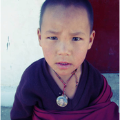 Humano, demasiado humano.