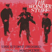 The Animals And Me by The Wonder Stuff