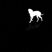 Cover of the current song