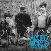 Never Knows Best by Cold World