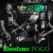 Woonkamer-Pogo (live)