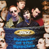 Female Of The Species  (Radio Edit)