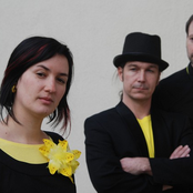 martina trchová & trio