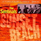 Ooh Poh Pa Doo by The Sentinals