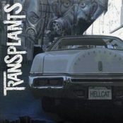 Tall Cans In The Air by Transplants