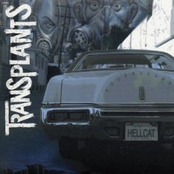 D.r.e.a.m. by Transplants