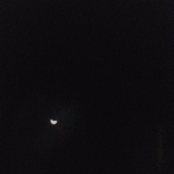 The Memoirs of Lexx Fellmirr