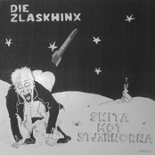 skita mot stjärnorna