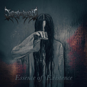 Essence of Existence