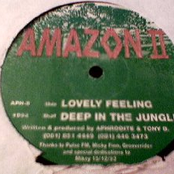 Deep In The Jungle by Amazon Ii