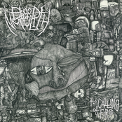 Blood Monolith: Apparatus