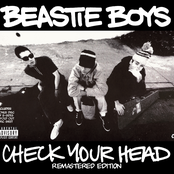 Check Your Head (Remastered Edition)