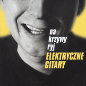 Zdemolowane Sklepy by Elektryczne Gitary