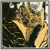 three gorges in a cuckoos egg