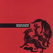 Wild Dog With X-Ray Eyes