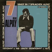 7 dilde alpay