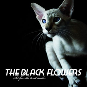 Set Free the Devil Inside - EP