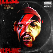 ARROW BOWIE