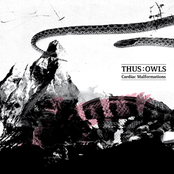 Yellow Desert by Thus:owls