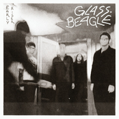 Glass-Beagle: Early Riser