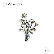 Flowers - Single
