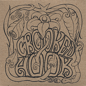 Electric Friend by Crooked Hook