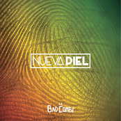 Nueva Piel