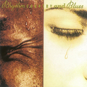 Rhythm Country and Blues