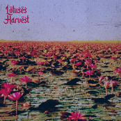 Lotuses Harvest vol. 2