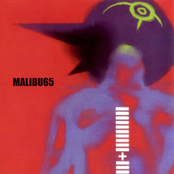 MALIBU65