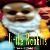 Dans Les Faux Puits Rouges Et Gris by The Little Rabbits