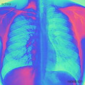 schrei/rebellisch
