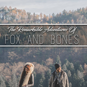 The Remarkable Adventures Of