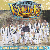 Pura Banda Tocada Compa Vol. IV