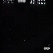 Slivering The Senses - Single