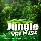 Jungle with Music