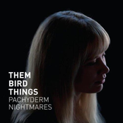 The Magdalene by Them Bird Things