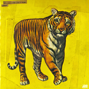 Speed, Blue & Shinki