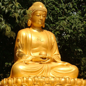 Buddha Virtue