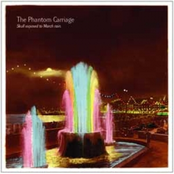 Skull Exposed To March Rain