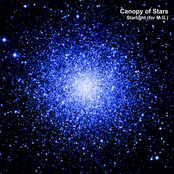 Starlight (For M.G.)