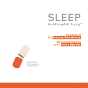 Sleep (An Attempt at Trying)