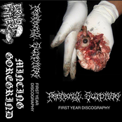 First Year Discography