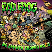 Ho bevuto troppo pogo