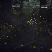 Fireflies